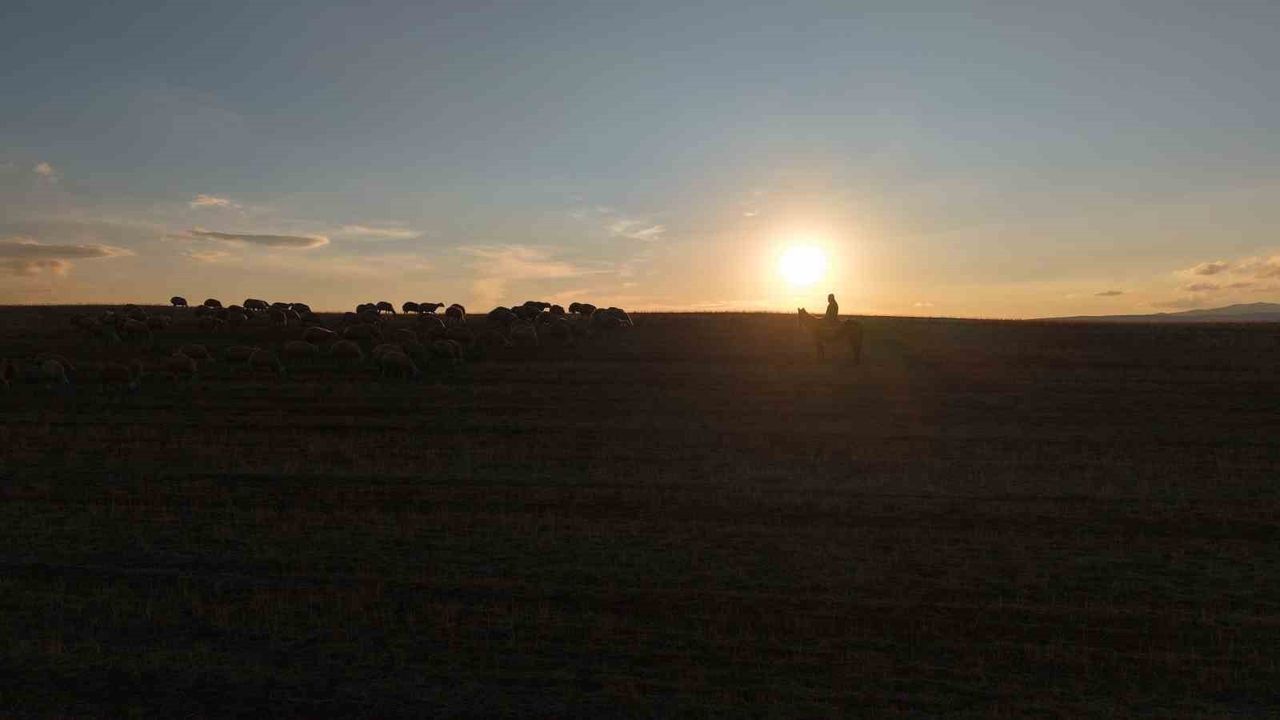 Medya Dünyasından Köy Yaşamına: Mehmet Özmen İstanbul Stresini Bırakıp Kırıkkale'de Huzuru Buldu