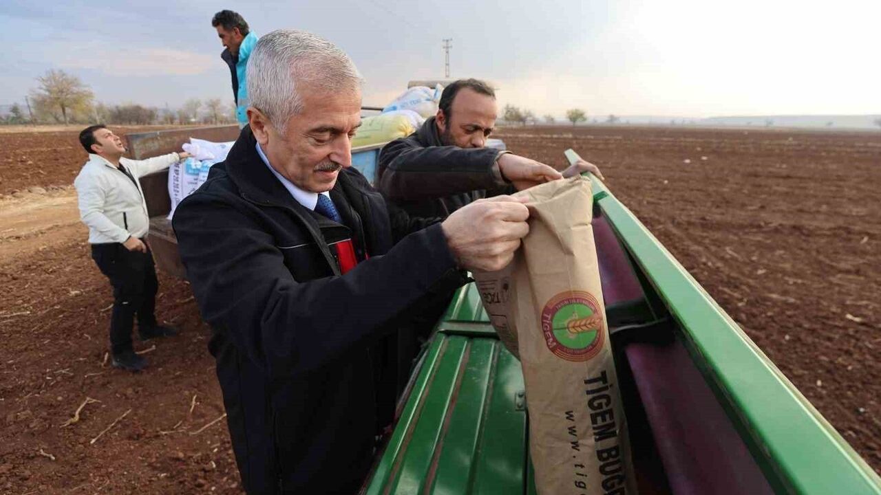 Mehmet Tahmazoğlu Çiftçilerle Tohum Ekti — Şahinbey 41 milyon 306 bin 600 kg Destek