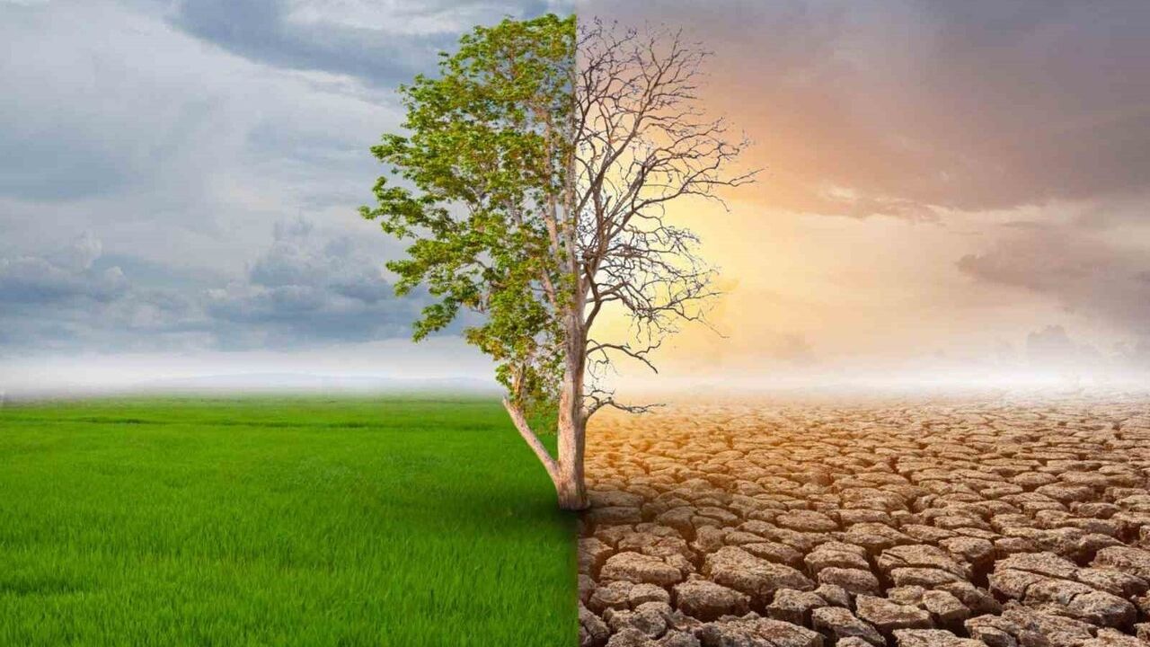 Melisa Nakıp Nicolaus Copernicus Üniversitesi'nde İklim Krizi Psikolojisini İnceleyecek