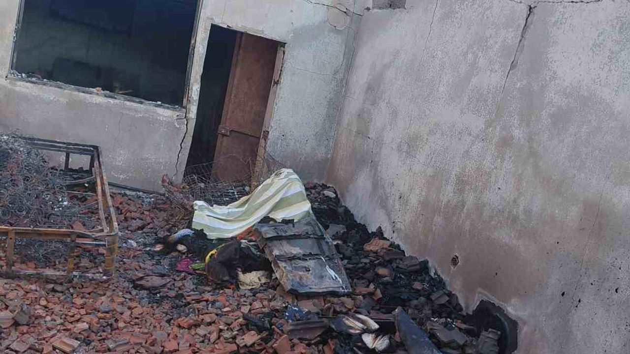 Menemen'de yangın: Islak Burunlar Pati Evi kurucusu Şule Çörekçi yaşamını yitirdi