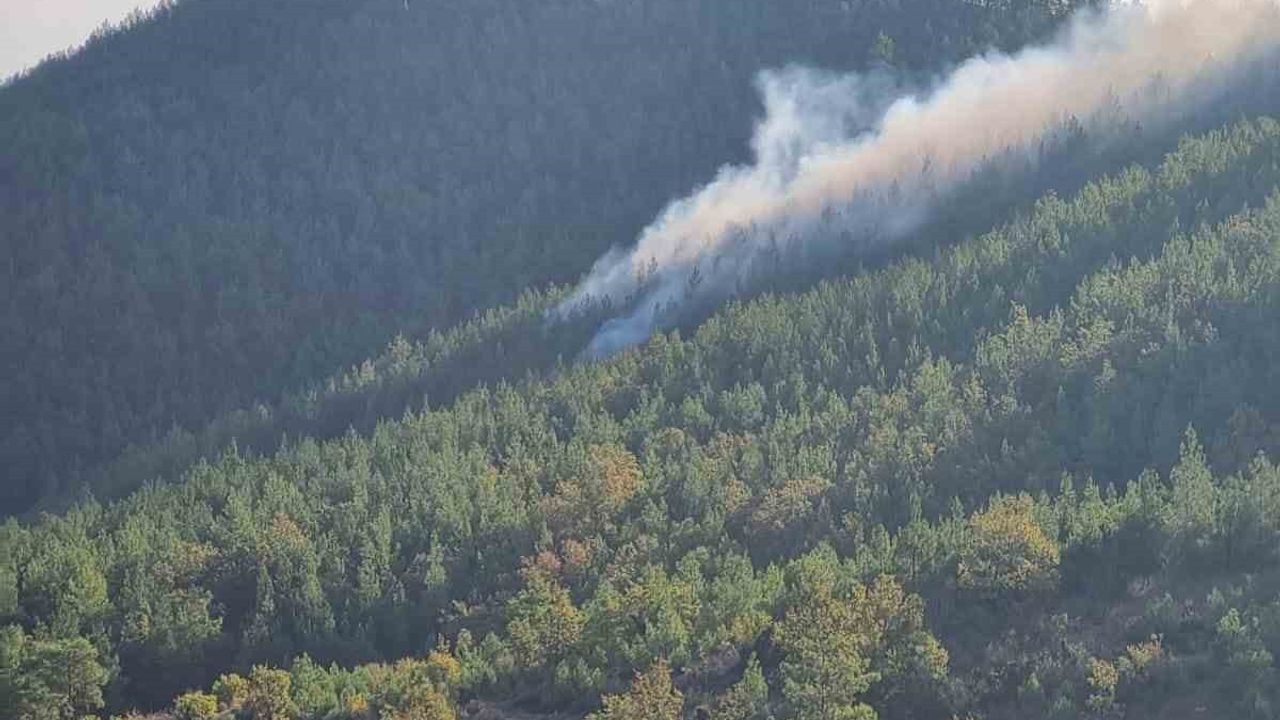 Mersin Bozyazı'da Orman Yangını Kontrol Altına Alındı