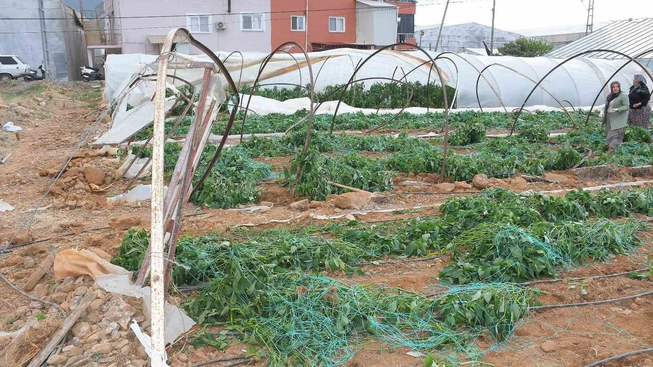 Mersin'de Hortum ve Fırtına Bozyazı'da Seralara Hasar Verdi