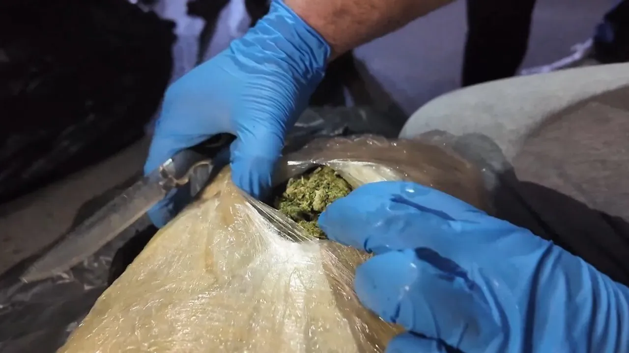 Mersin’de Tırda 223 Kg Skunk Ele Geçirildi — 1 Tutuklu