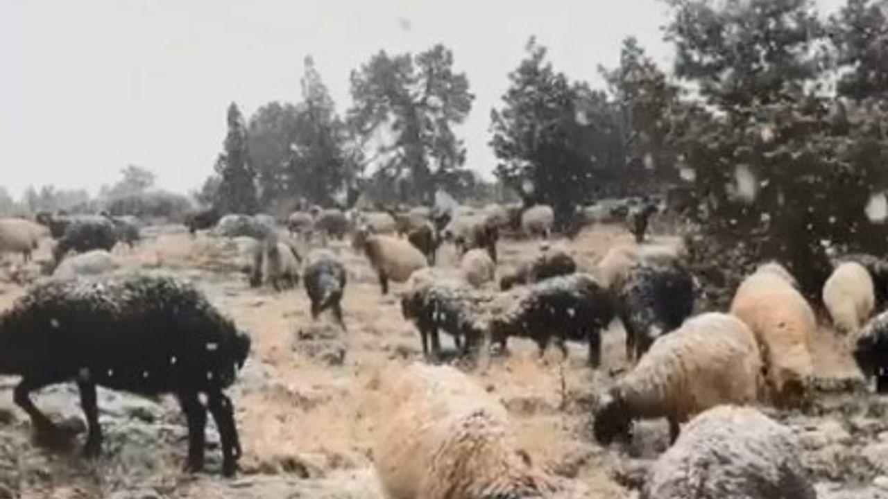 Mersin'de Toroslar'da Kar: Erdemli'de Bin 800 Rakımda Mevsimin İlk Karı
