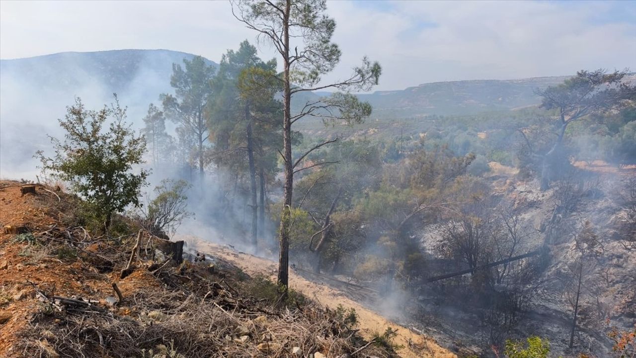 Mersin Gülnar'da Bahçe Yangını: Mehmet Ali Külah (70) Hayatını Kaybetti