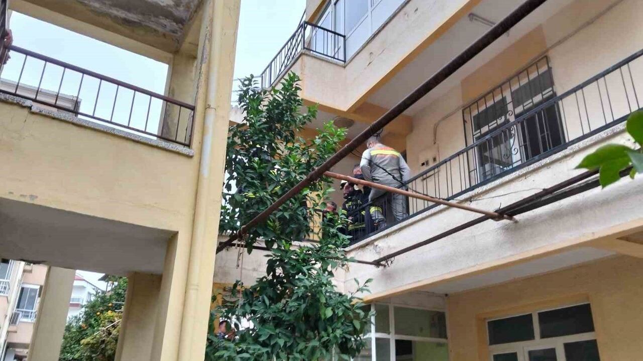 Milas'ta Ocakta Unutulan Yemek Yangını: 2 Kedi Telef Oldu