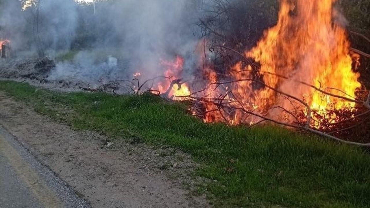 Milas'ta Orman Yangınları Hızlı Müdahale ile Büyümeden Söndürüldü