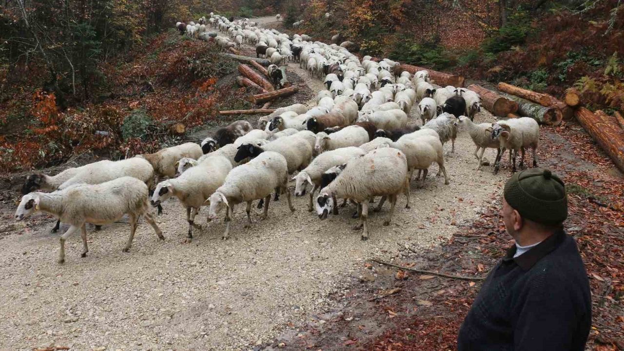 Mudurnu'da Yaylalardan Kış Göçü Başladı