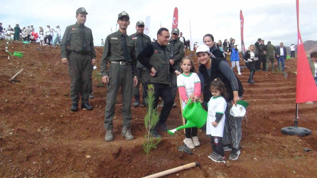 Muğla’da 11 Kasım’da 33 Bin Fidan Toprakla Buluştu