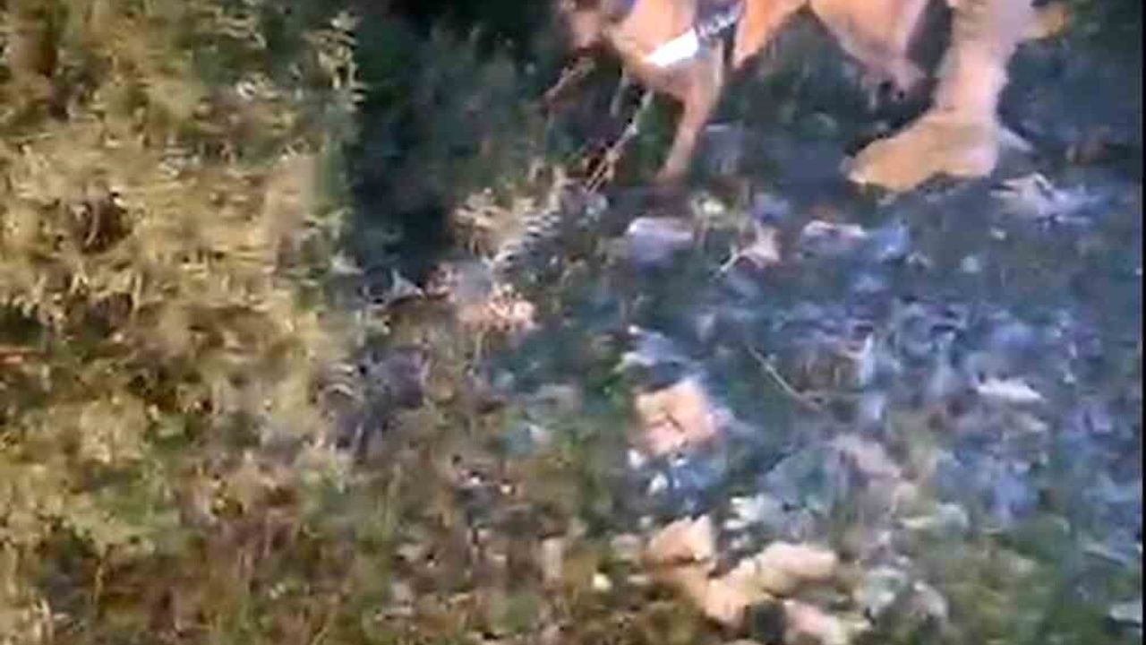 Muğla'da 4 Milyon TL Değerinde Uyuşturucu Ele Geçirildi