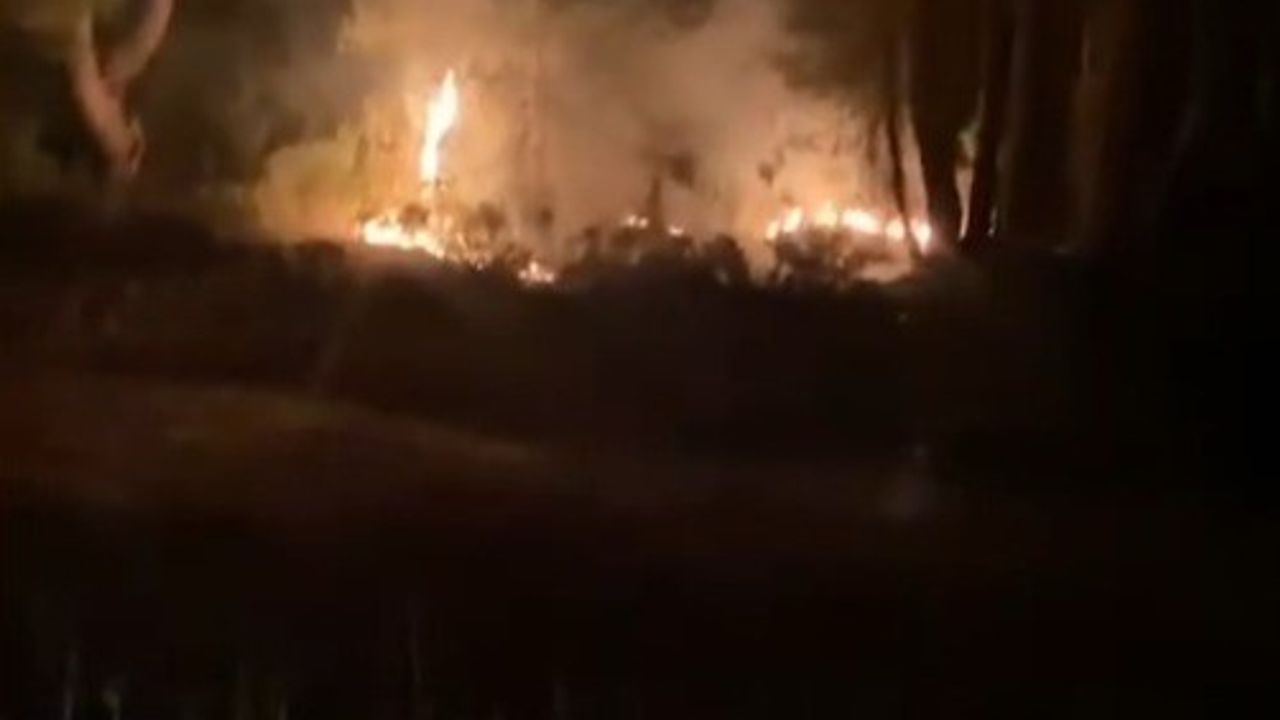 Muğla Kavaklıdere'de Orman Yangını Hızla Kontrol Altına Alındı
