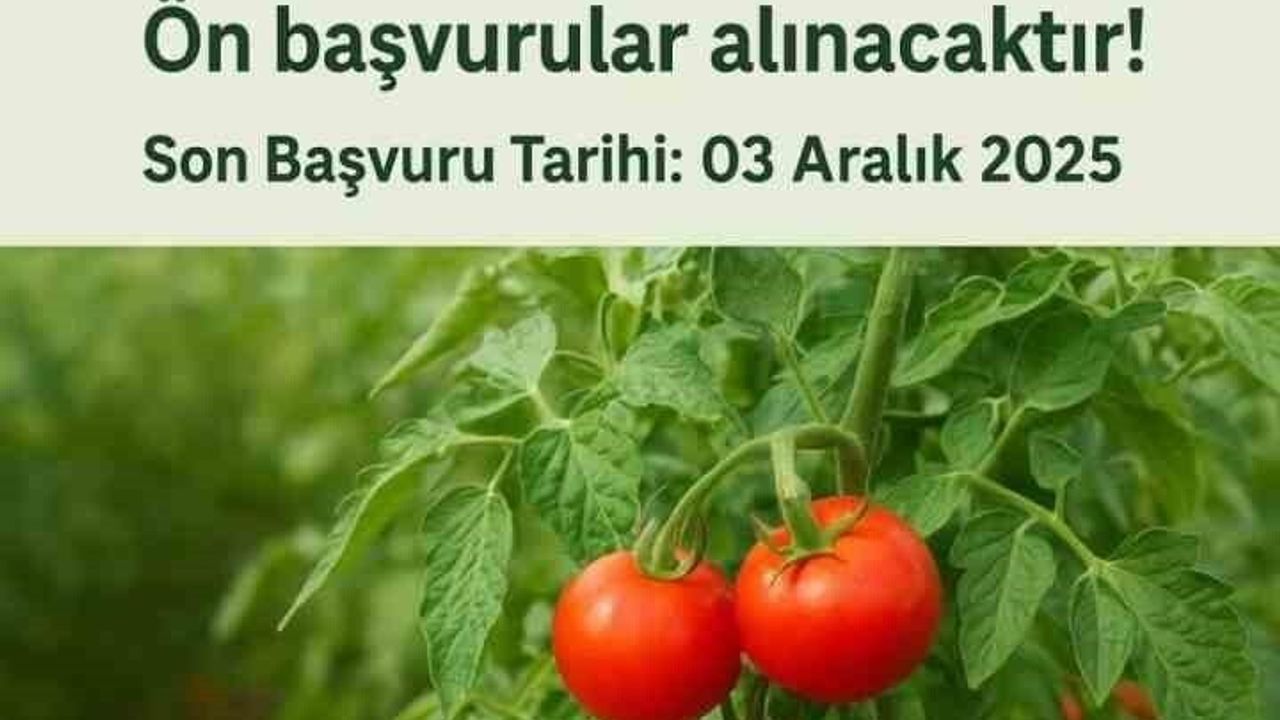 Muradiye'de Domates Yetiştiriciliği Projesi İçin Ön Başvurular Başladı