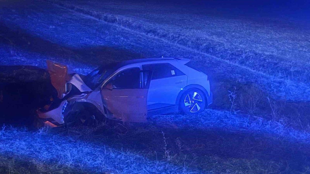 Muş Hasköy'de Otomobilin Çarptığı İnek Telef Oldu