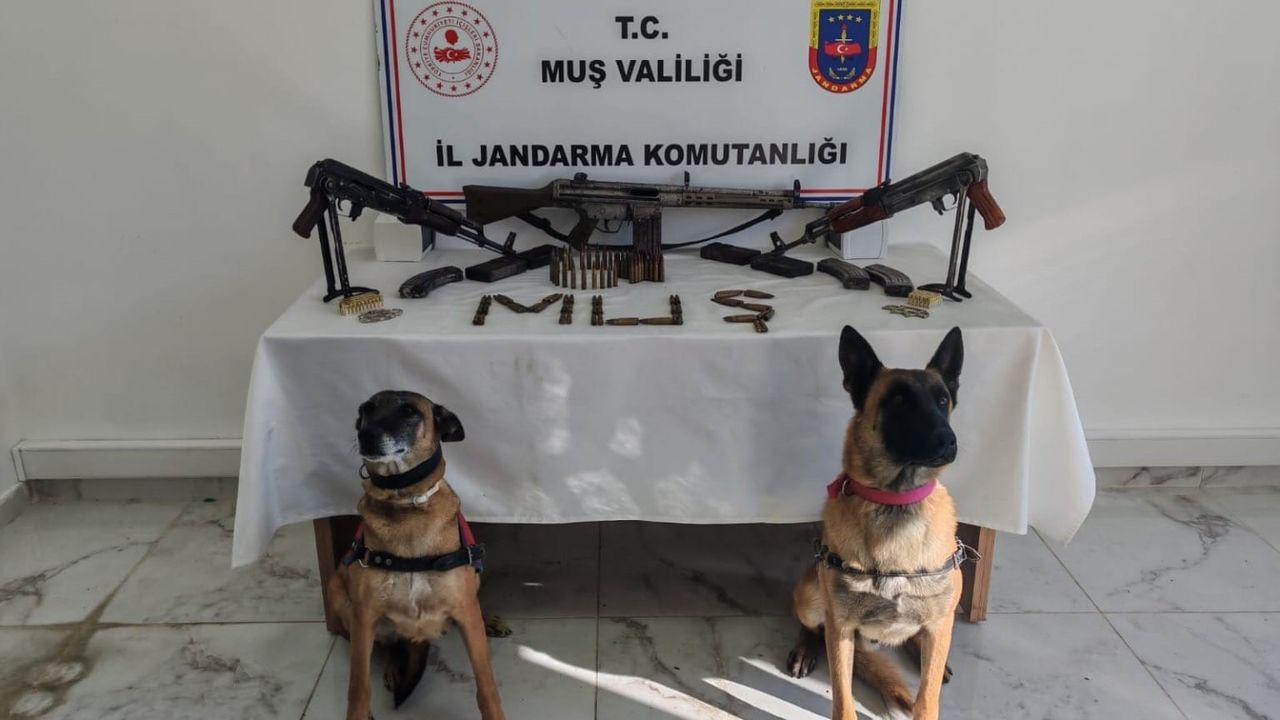 Muş'ta 3 Ruhsatsız Uzun Namlulu Silah Ele Geçirildi