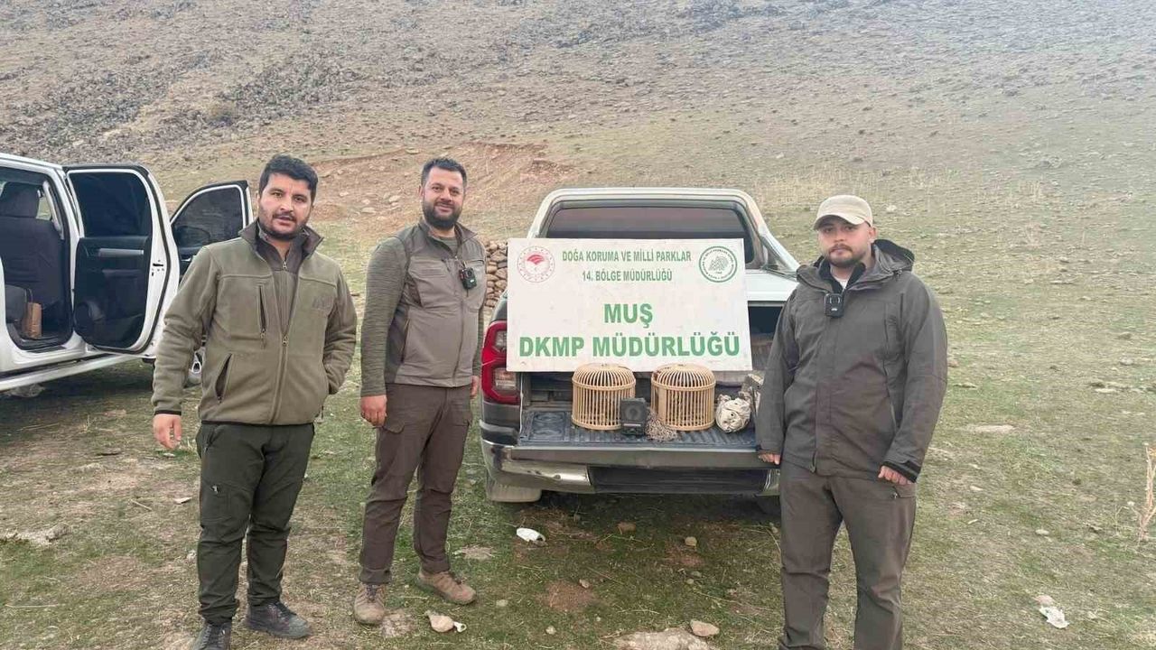 Muş'ta yasa dışı kafes avcılığı suçüstü: 20 bin TL ceza