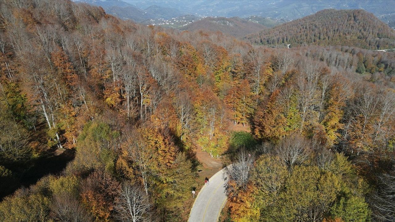 Nebiyan Dağı'nda Sonbahar Renkleri