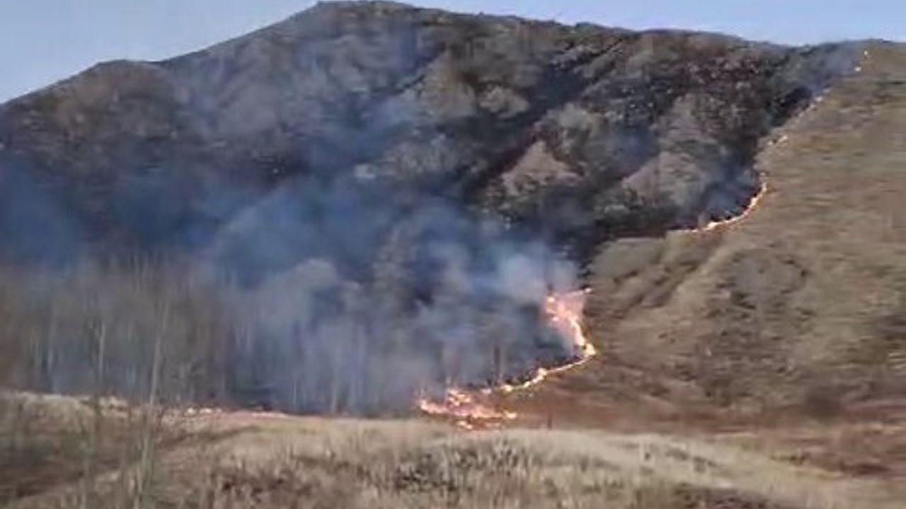 Oltu'da Süleymanlı Mahallesi'nde Örtü Yangını Kontrol Altına Alındı