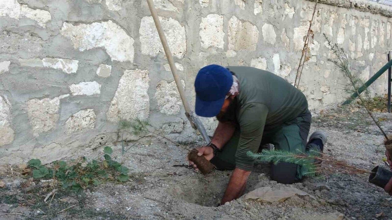 Ömer Özer '81 İl 81 Fidan' Turunda: Burdur'da 77. Fidanı Dikti
