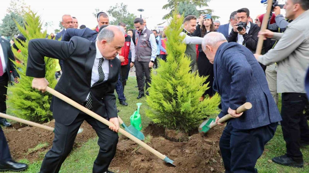 Ordu'da 350 Bin Fidan Hedefi: 11 Kasım Milli Ağaçlandırma Seferberliği