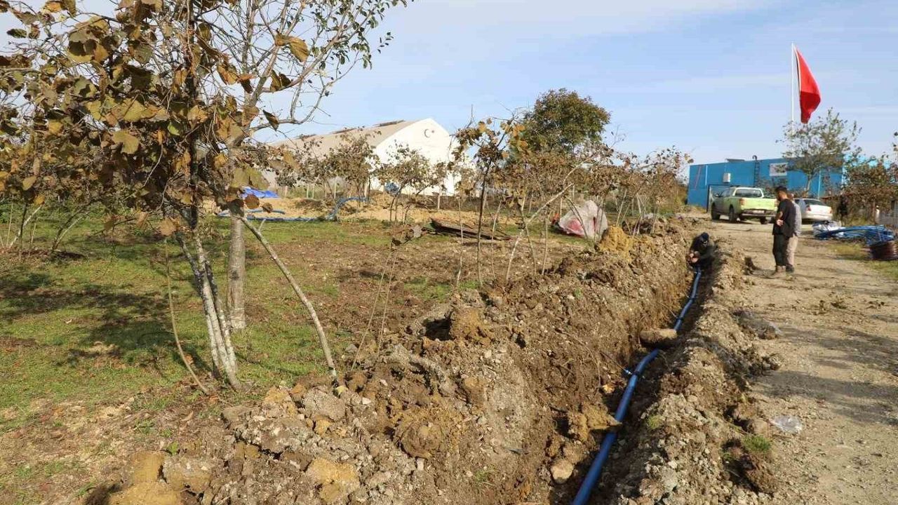 Ordu'da Fındıkta Kuraklığa Karşı Toprak Altı Damlama: FINVER ile %40 Verim Hedefi