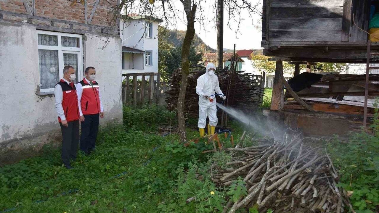 Ordu'da Kahverengi Kokarca Mücadelesi: 330 Bin Kışlak İlaçlanacak