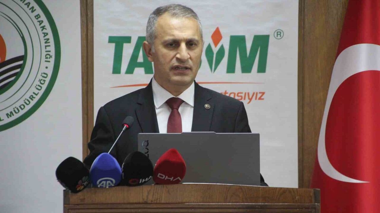 Ordu Türkiye'nin En Fazla Bal Üreten İli: 16.750 Ton ve 645 Bin Kovan