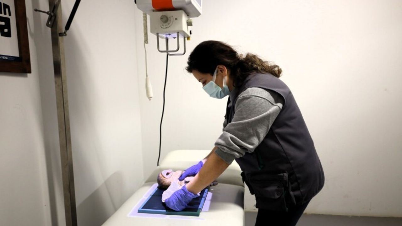 Ormanya’da Yaban Hayatına Umut: Kocaeli’nin Rehabilitasyon Merkezi