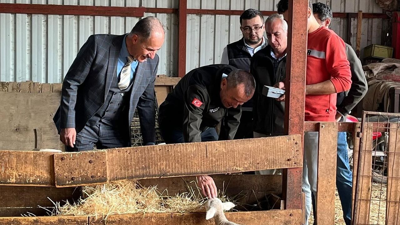 Osmaneli'de Genç Girişimciye Yüzde 100 Hibe ile Küçükbaş Hayvancılık