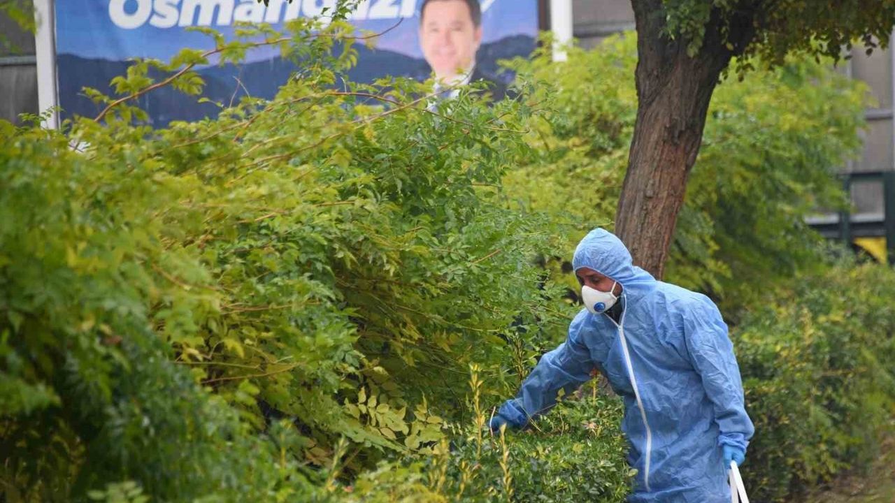 Osmangazi'de Kemirgen İlaçlaması Başladı