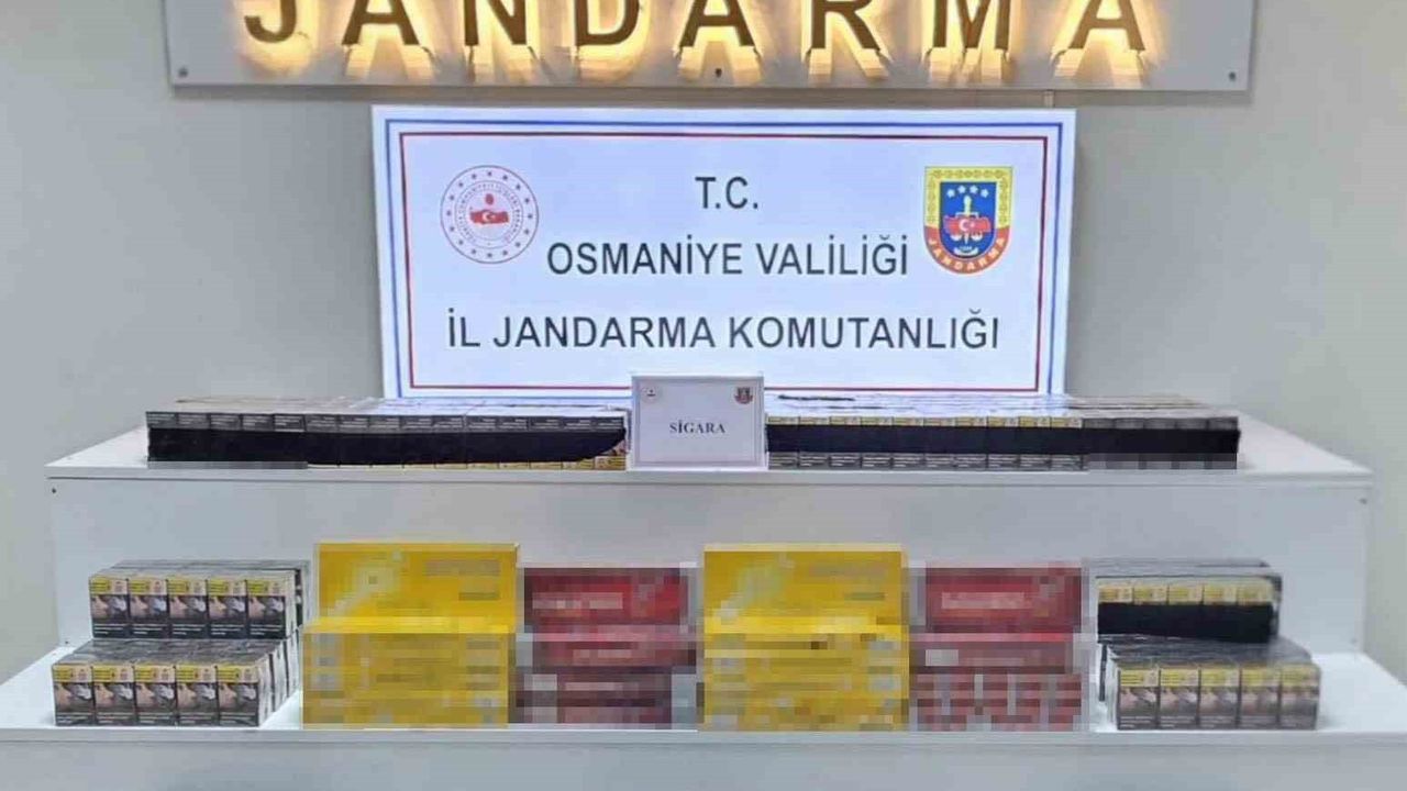 Osmaniye'de Jandarma Operasyonları: 73 Şüpheli Yakalandı
