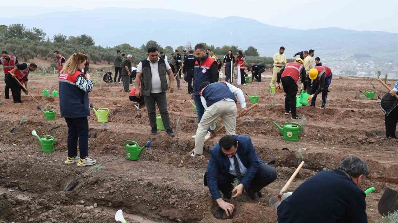 Osmaniye Toprakkale’de 11 Kasım’da Yaklaşık 1.000 Fidan Toprakla Buluştu