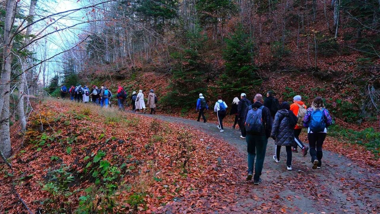 Pamukova'da 14 Kilometrelik Sonbahar Doğa Yürüyüşü