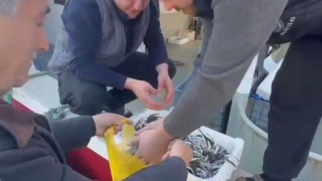 Paşalimanı Balıkçıları Bandırma’da 200 TL’lik Hamsiyi Ücretsiz Dağıtarak Protesto Etti