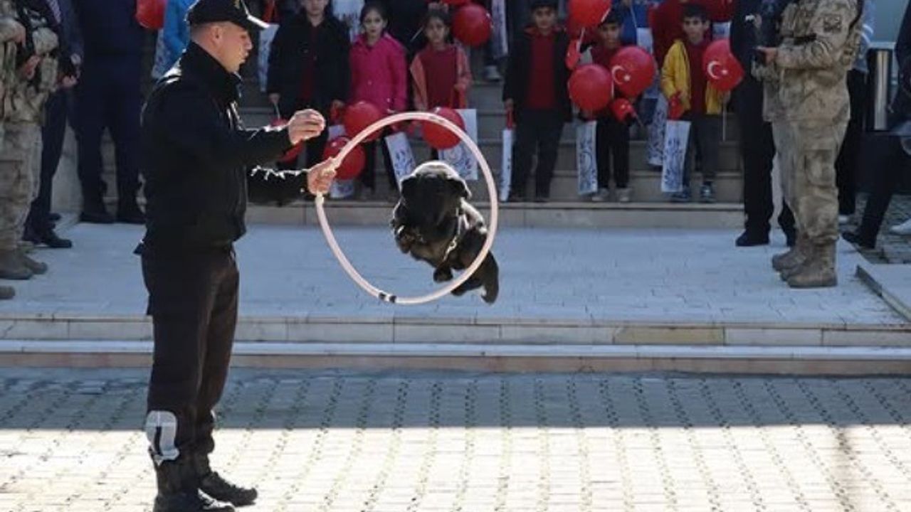 Pazaryeri'nde Minik Öğrenciler Jandarma ve Köpek Gösterileriyle Tanıştı