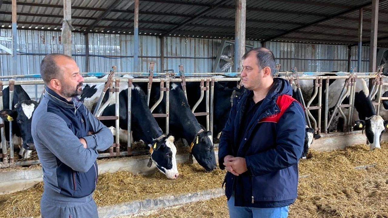 Pınarhisar'da Ari Hayvancılık İşletmeleri Denetlendi