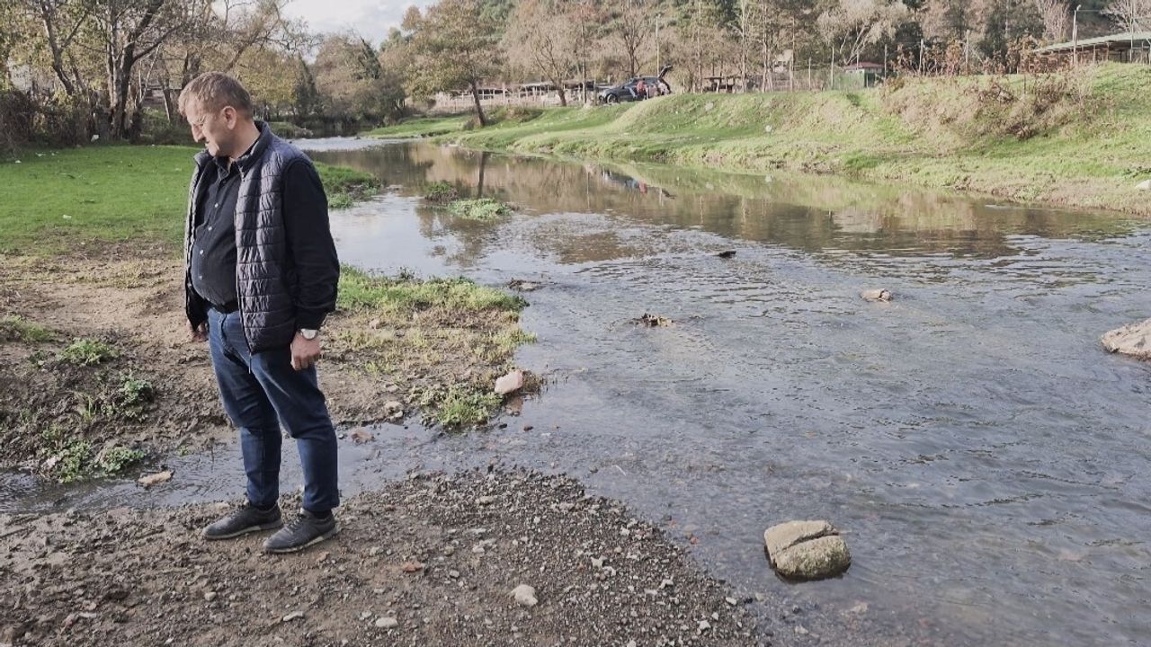 Pirinççi Deresi'nde Toplu Balık Ölümleri: Alibey Barajı Tehdit Altında