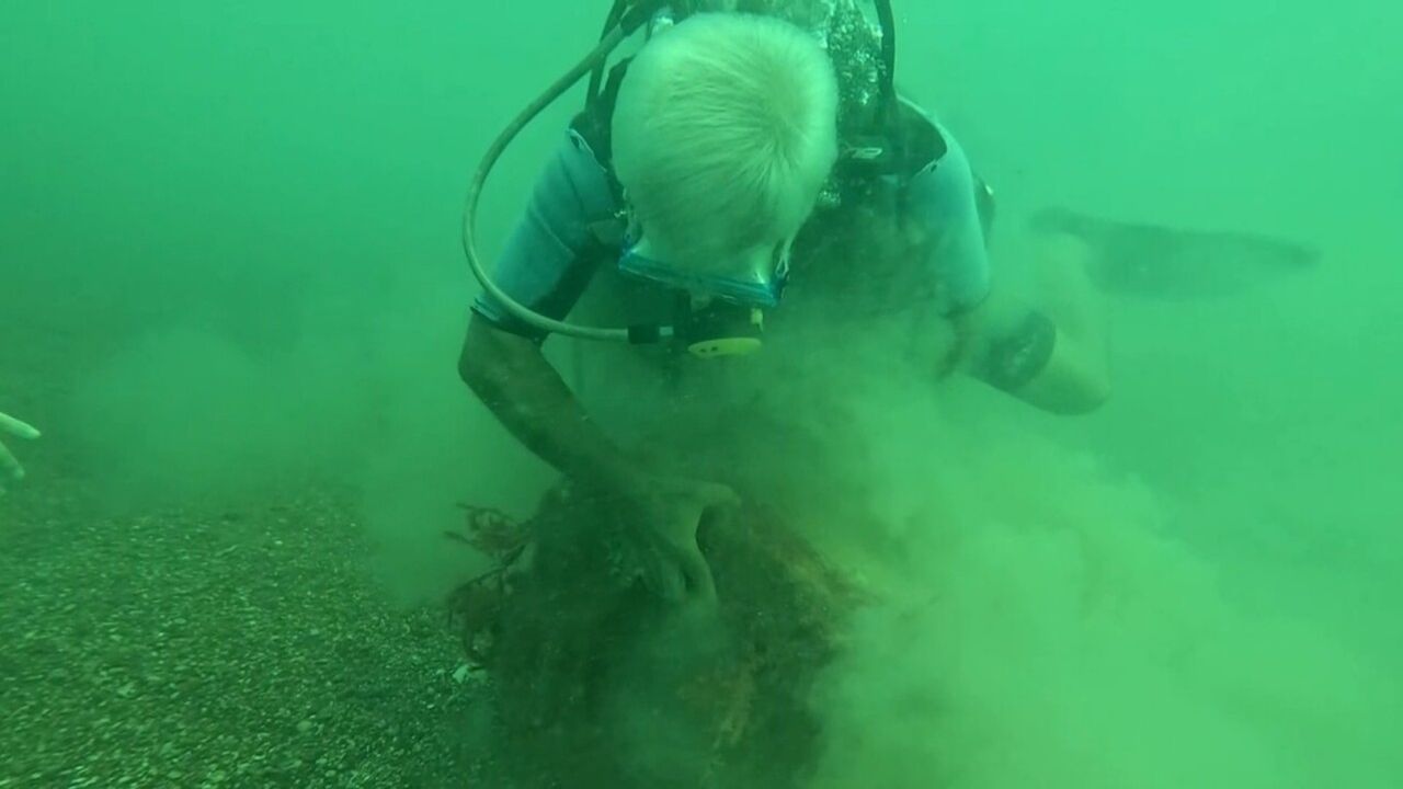 Prof. Dr. Mehmet Gökoğlu Konyaaltı'nda Yapay Resif Kurdu: 12 Tür Bir Arada