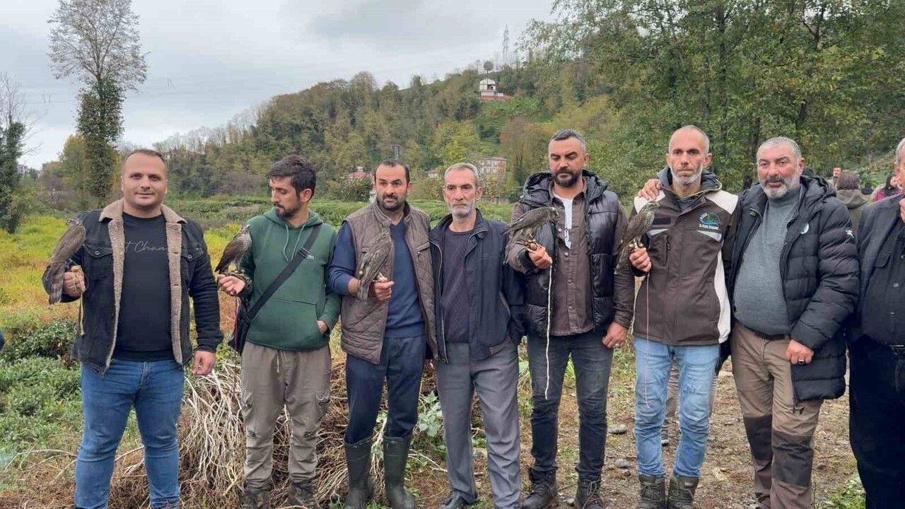 Rize'de 3. Atmaca Salma Festivali: Atmacalar Bıldırcın Avında Yarıştı