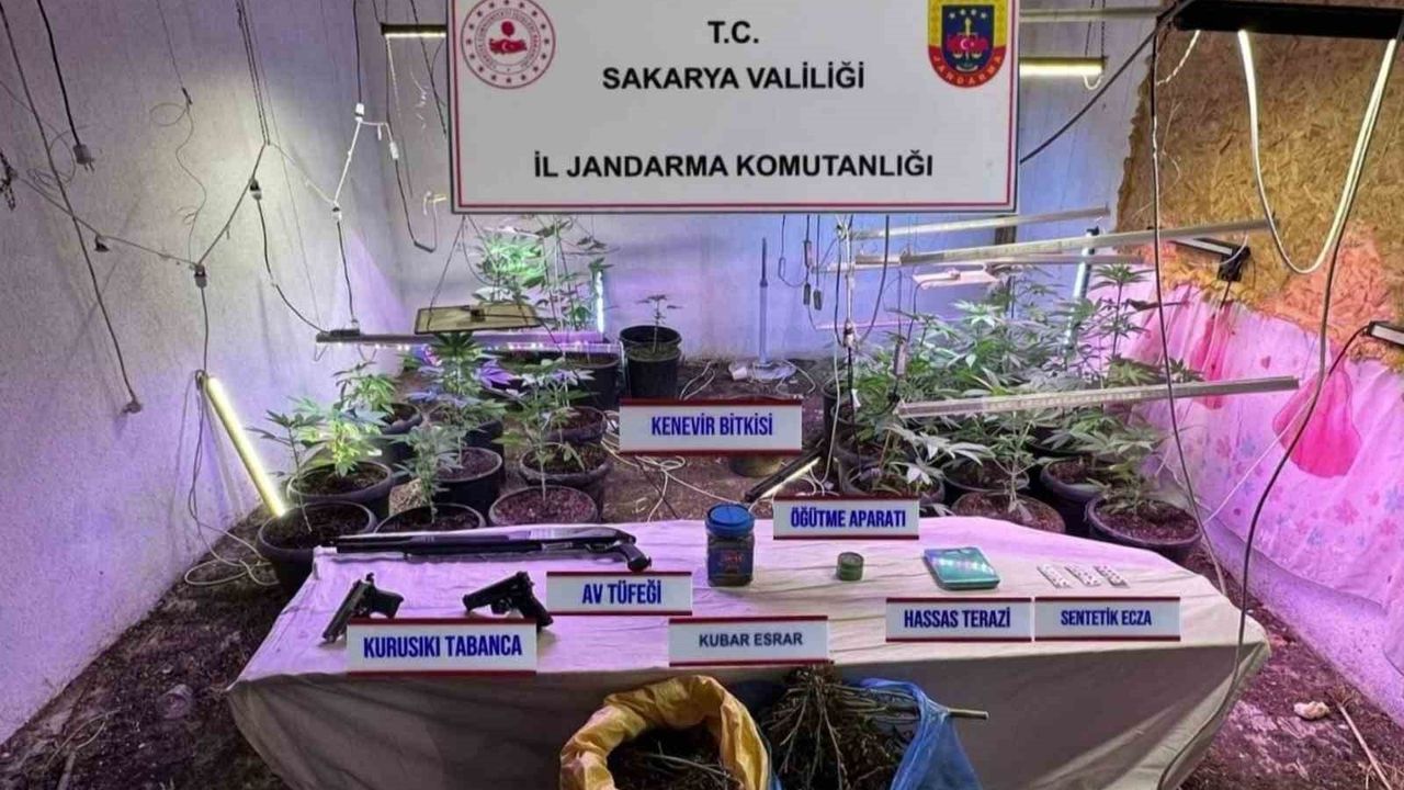 Sakarya'da Kenevir Operasyonu: İklimlendirmeli Ekim ve 2 Tutuklama