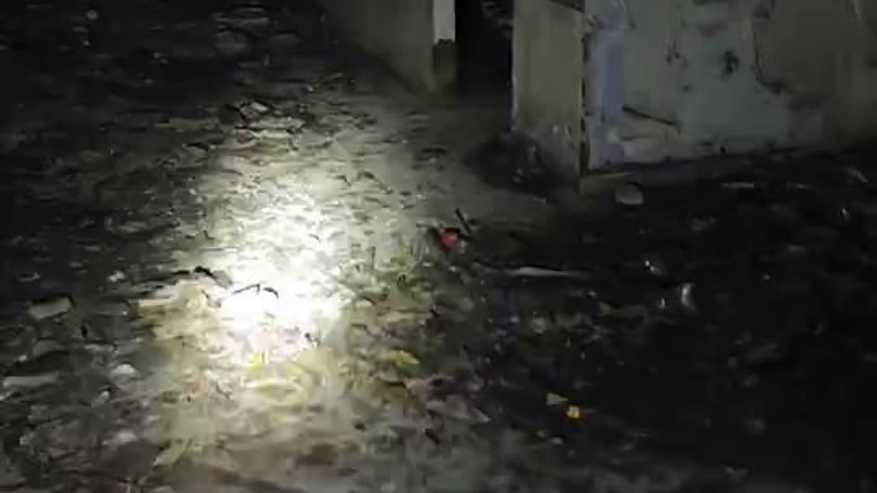 Sakarya'da Metruk Binalarda Uyuşturucu Denetimleri Sürüyor