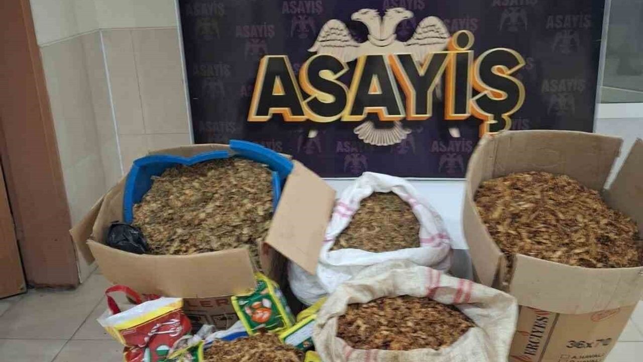 Samandağ'da Kaçak Tütün Operasyonu: 270 Kilo Ele Geçirildi