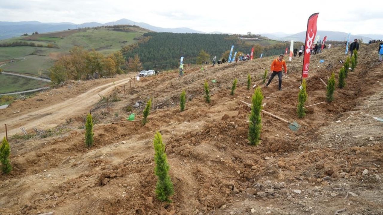 Samsun’da 11 Kasım’da 37 bin 380 Fidan Toprakla Buluşuyor
