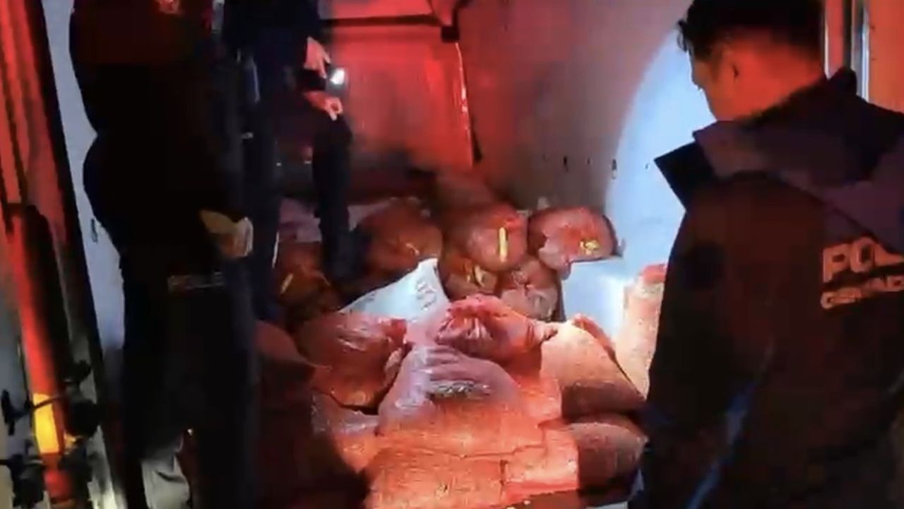 Samsun'da 2,6 Ton Kaçak Midye Ele Geçirildi