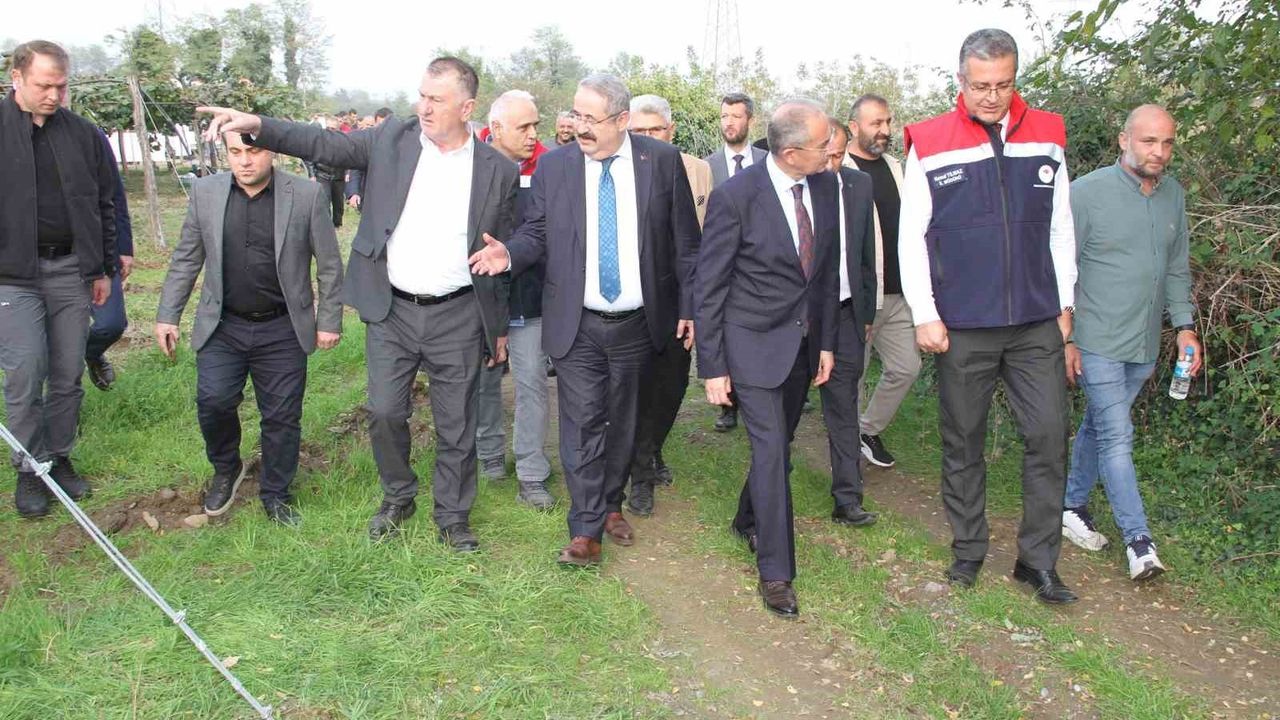 Samsun’da 2025 Kivi Hasat Etkinliği: Samsun Türkiye’de 3. Sırada