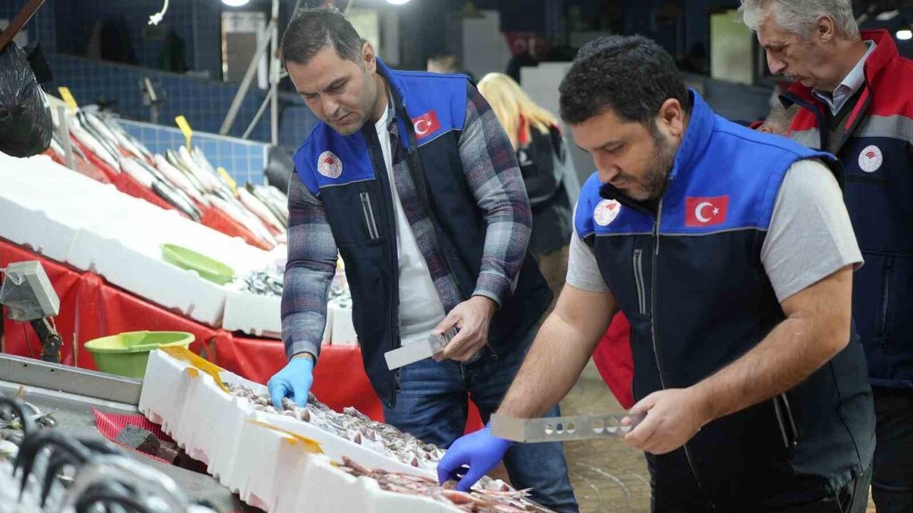 Samsun’da Balık Denetimleri: 109 Kişiye Yaklaşık 2,5 Milyon TL Ceza