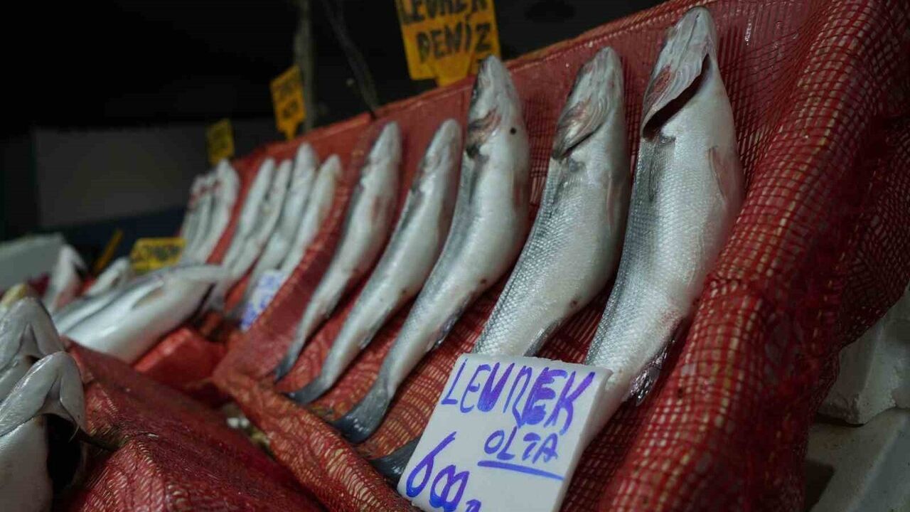 Samsun'da balık fiyatları: Hamsi 100 TL, Levrek 600 TL