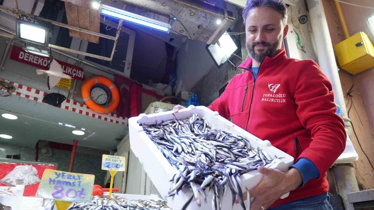 Samsun'da Hamsi Bolluğu: Fiyatlar Düştü, Satış Bekliyor