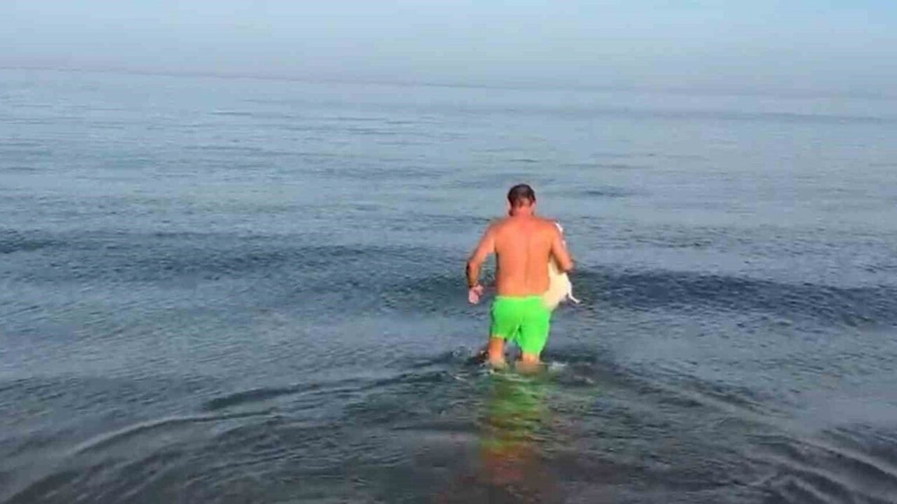 Samsun'da pastırma sıcakları vatandaşı denize çekti