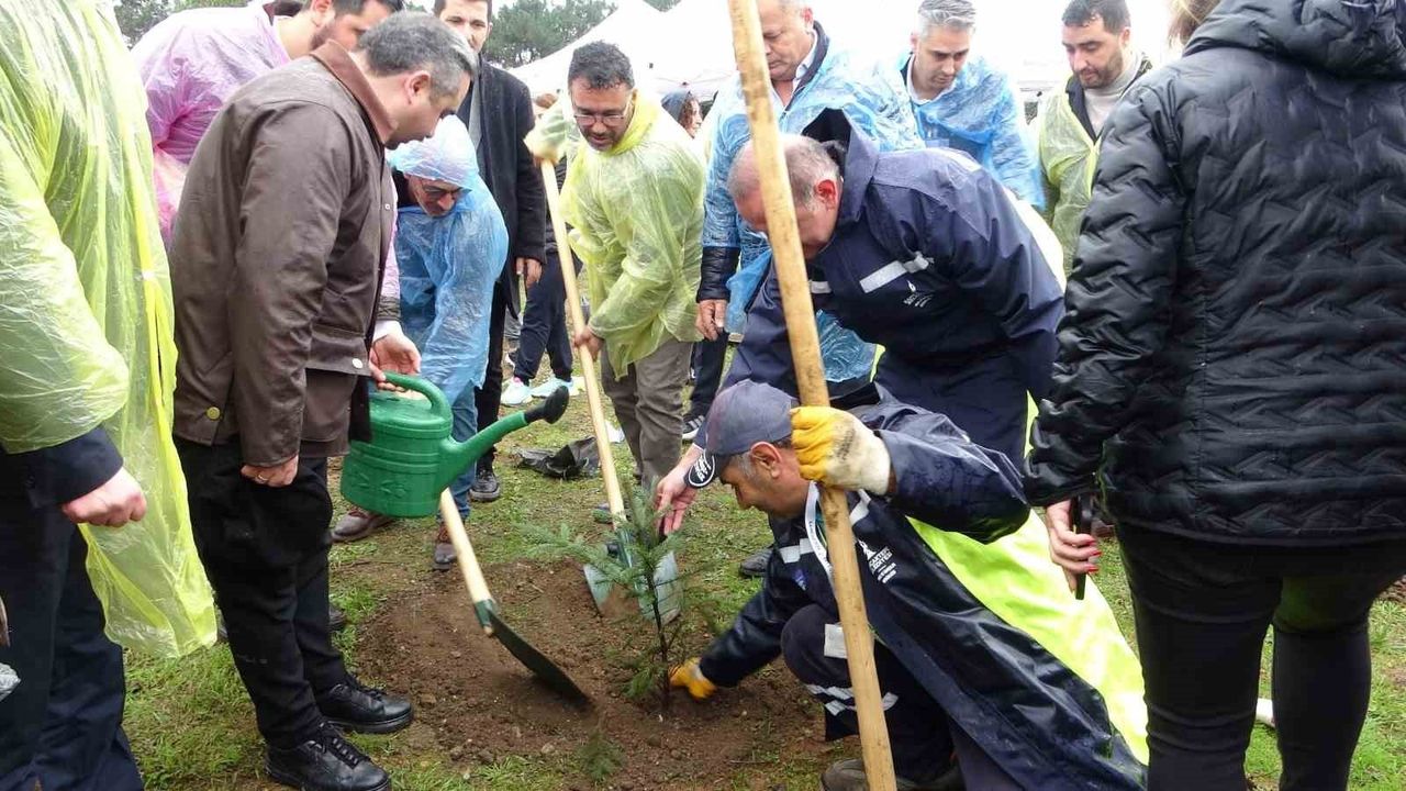 Sancaktepe'de Milli Ağaçlandırma Günü: Binlerce Fidan Toprakla Buluştu
