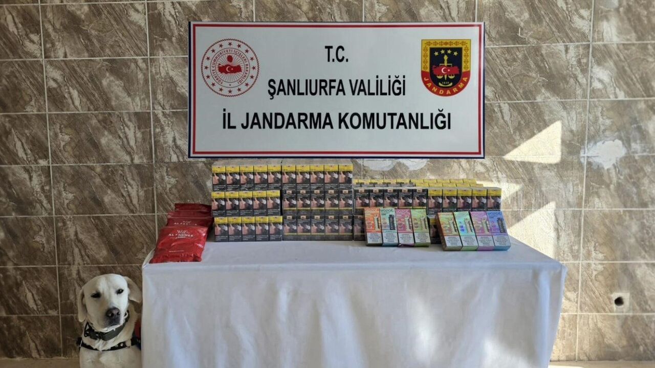 Şanlıurfa’da 3 bin 800 paket kaçak sigara ele geçirildi